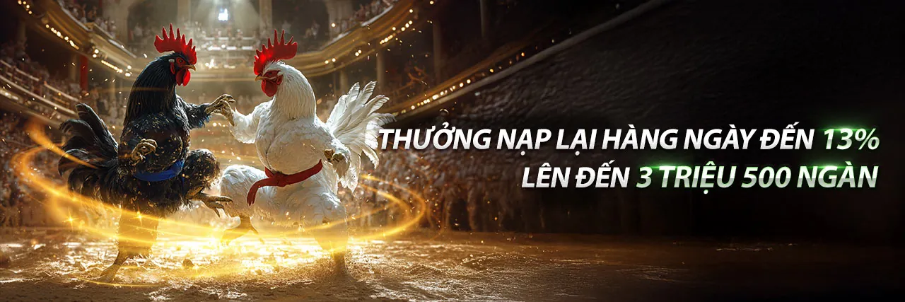 Sân vận động lớn với dữ liệu phân tích thể thao